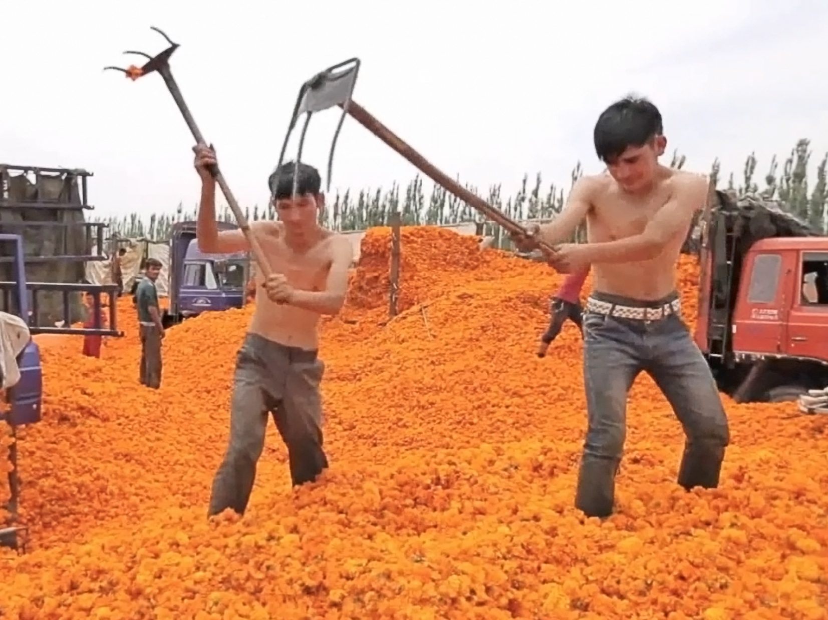 Financing & Genocide: Development Finance and the Crisis in the Uyghur Region
